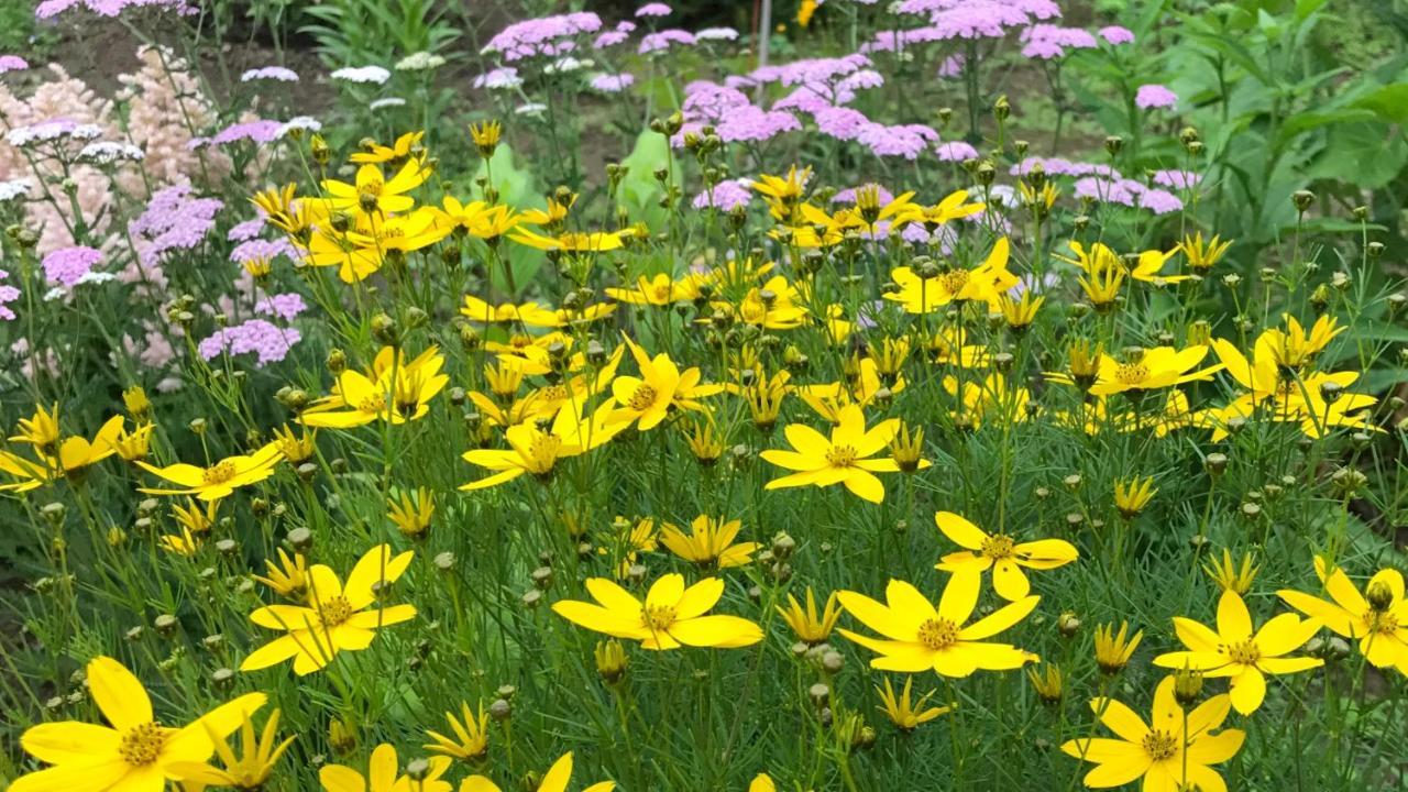 鄉村民宿 Ritz Garden Niji