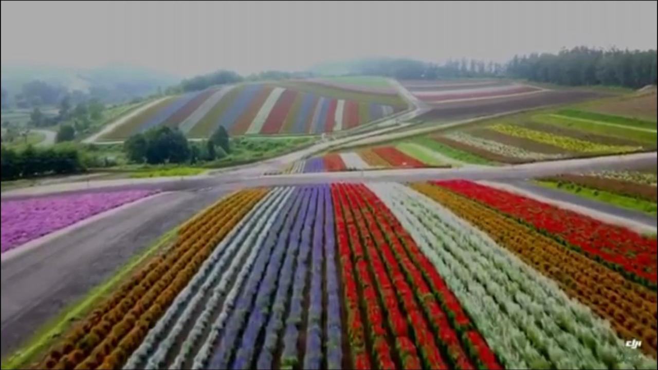 Ritz Garden Niji 鄉村民宿