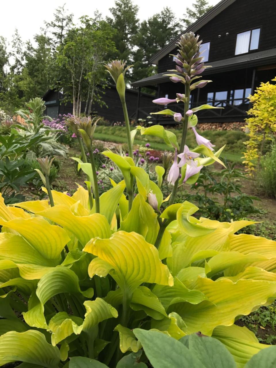 鄉村民宿 Ritz Garden Niji *